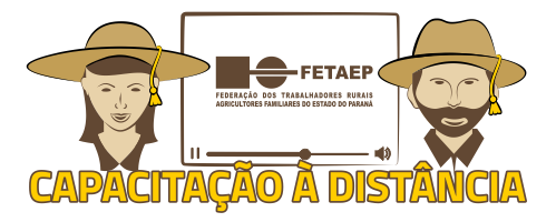 Capacitação à Distância da FETAEP